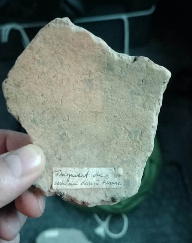 Со страницы полиции города Яссы